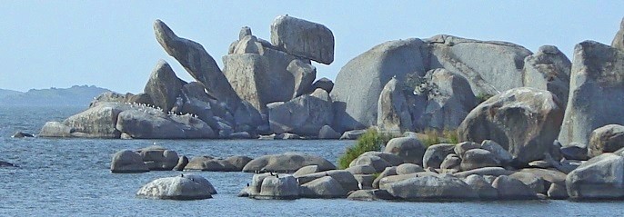 Picture 1